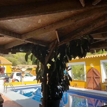 Casa Olivia