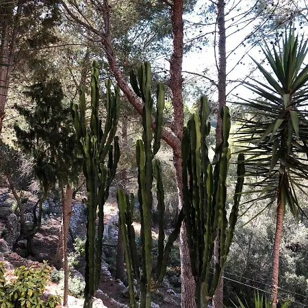 Casa Olivia Penzion Pedreguer